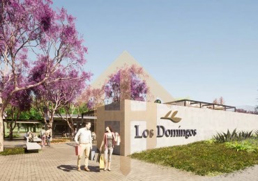 Lotes Los Domingos Etapa 1